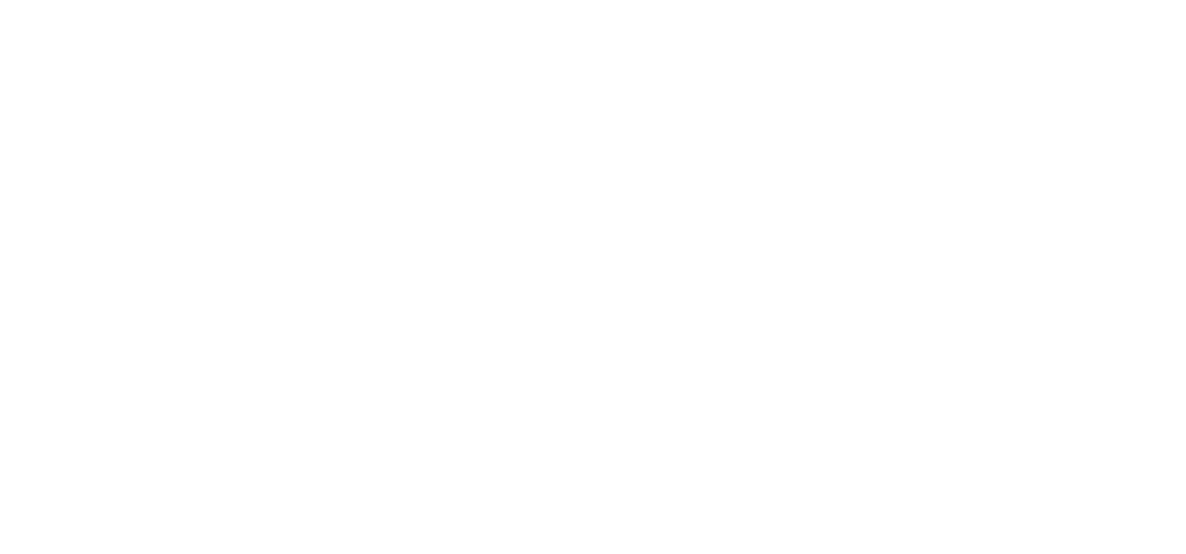 adelman travel group